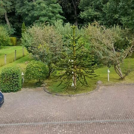 Goldberg Pension Zum Park מראה חיצוני תמונה