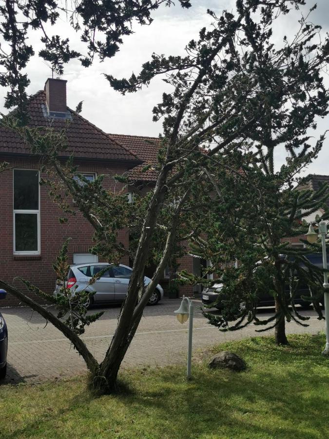 Goldberg Pension Zum Park מראה חיצוני תמונה