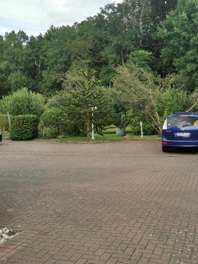 Goldberg Pension Zum Park מראה חיצוני תמונה