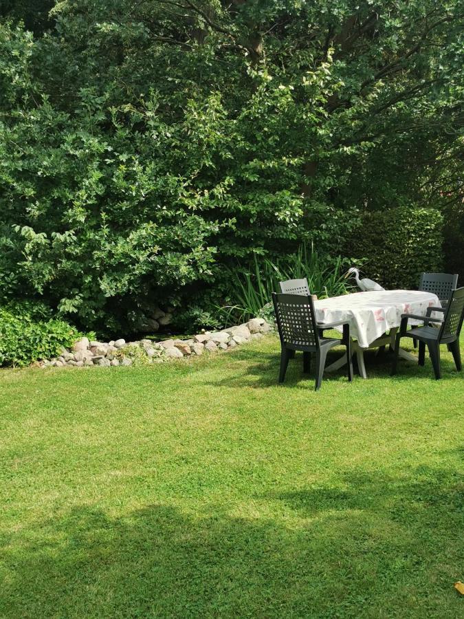 Goldberg Pension Zum Park מראה חיצוני תמונה